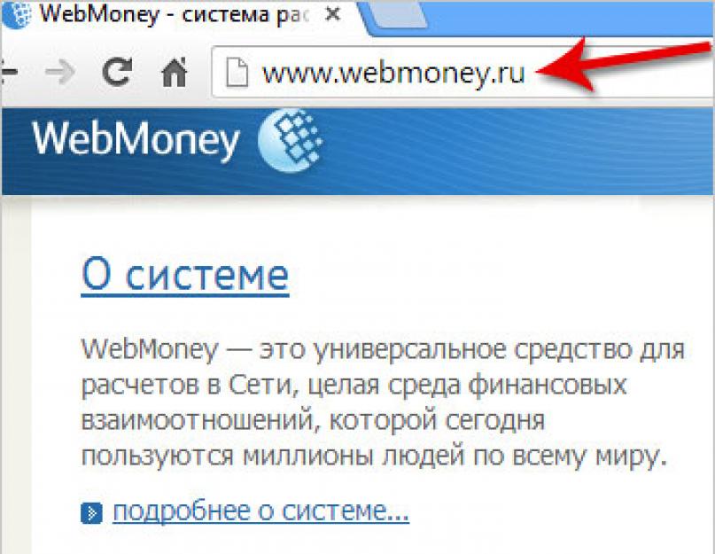 Как пользоваться электронным кошельком Webmoney и что необходимо знать. Что такое webmoney (вебмани)