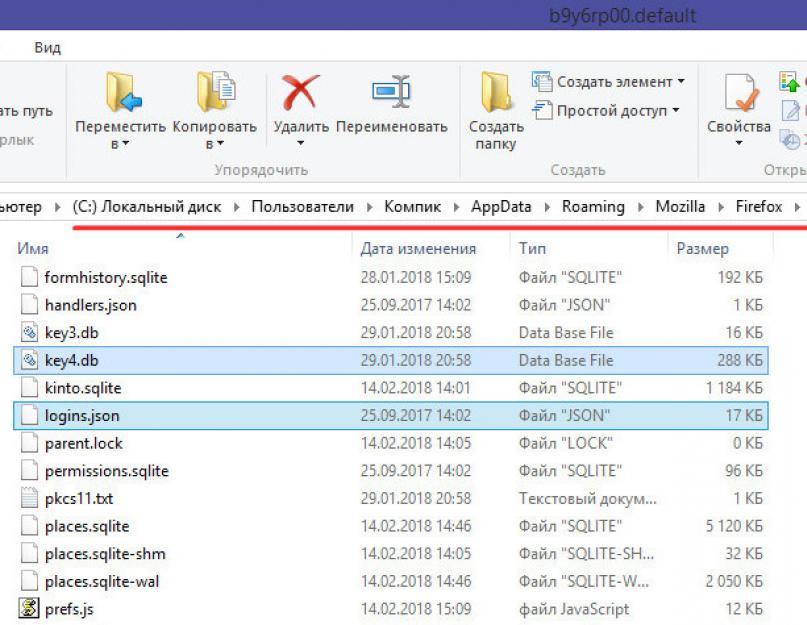 Как сохранить все пароли из firefox. Как перенести пароли из нового браузера Firefox на комп
