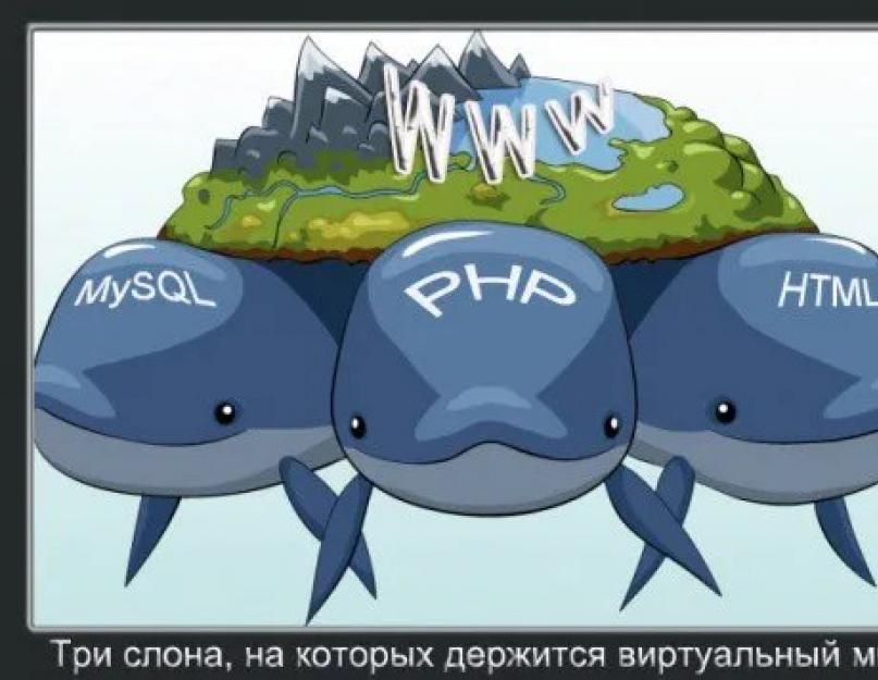 Изучение языка программирования php с нуля. Учим PHP с Нуля: План Обучения