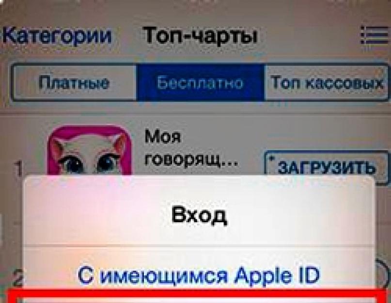 Регистрация учетной записи apple id. Как создать apple id на iPhone, два реальных способа