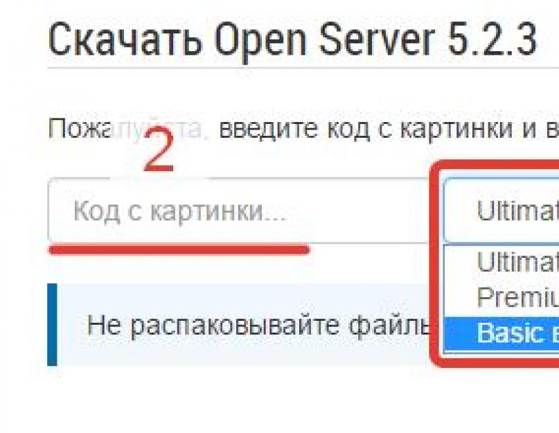 Локальный сервер настроить. Обзор и установка веб сервера Open Server