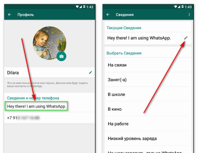 Прикольные статусы для ватсапа короткие. Что такое статус в WhatsApp