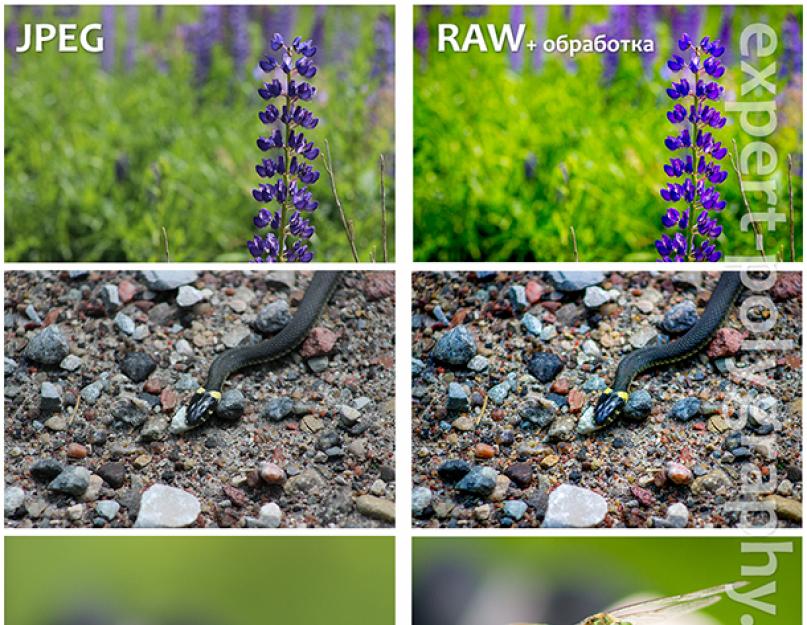 Фильтр camera raw в фотошопе cs6. Способы открытия фотографий в Adobe Camera Raw