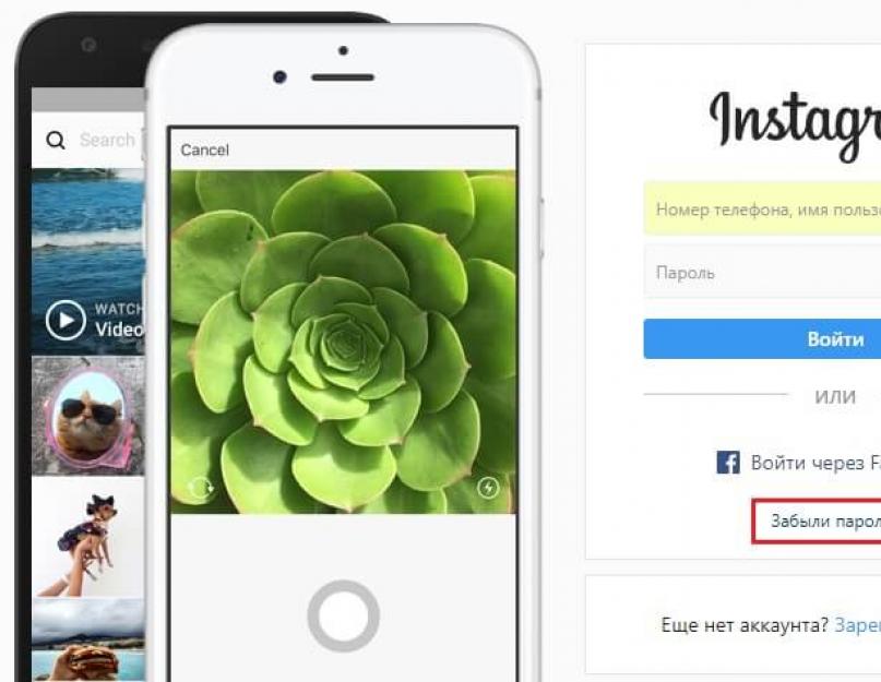 Забудь инстаграм. Логин Инстаграм. Что такое логин инстаграма. Insta login. Instagram login Page.