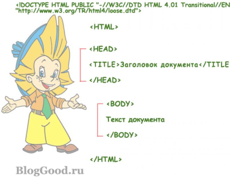 Html для начинающих примеры. Основы html для начинающих на понятном языке