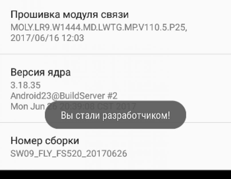 Режим разработчика на Android: настройки и функции. Как включить секретные настройки для разработчиков на Android