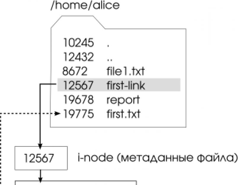 First txt. Структура файловой системы Unix. Классическая файловая система OC Unix. Типы файлов в Unix. Reiserfs файловая система.