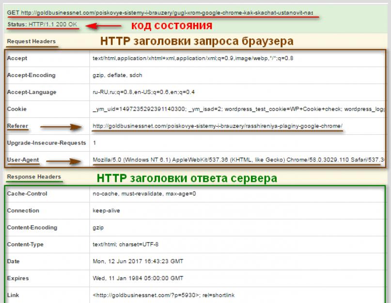 Основы функционирования веб-приложений. Протокол HTTP (HTTPS) — что это такое