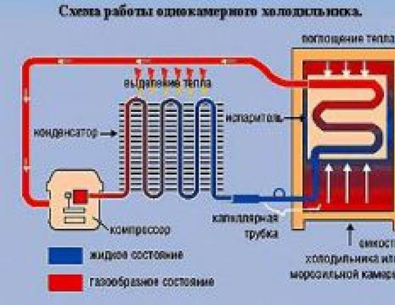 Типы холодильников, их систем охлаждения. Технические секреты: как устроены внутри современные холодильники