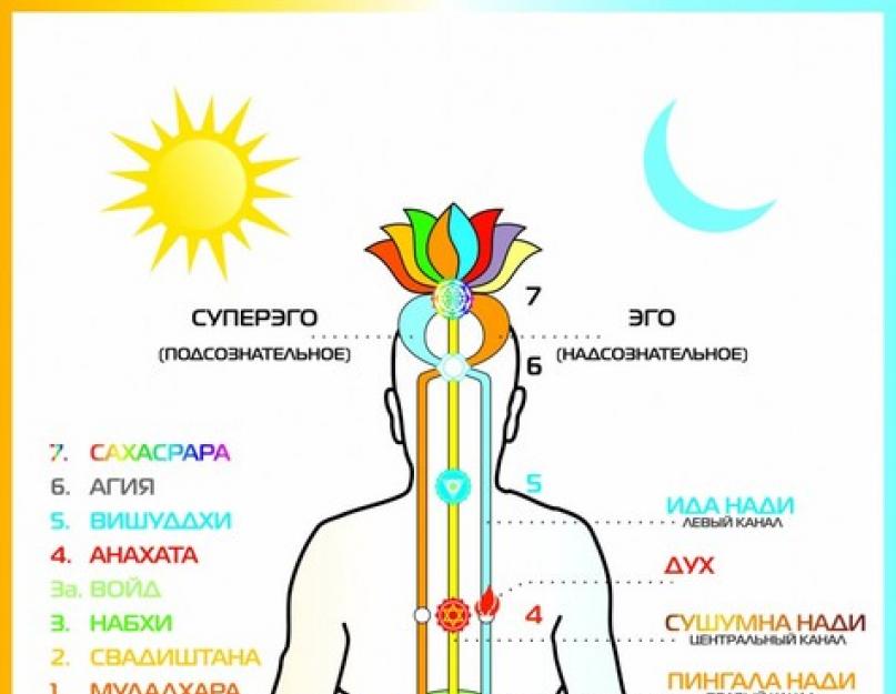 Чакры и нади – энергетические центры и каналы эфирного тела. Свойства чакр
