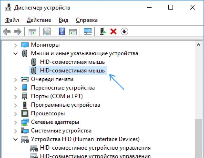 Виндовс 10 не работает простая мышка. На ноутбуке не работает сенсорная мышка (тачпад)