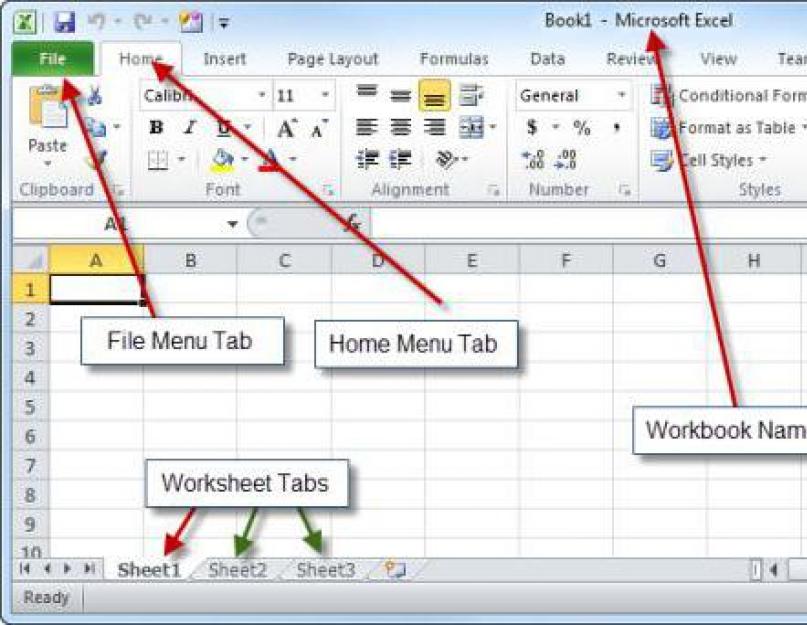 Интерфейс табличного процессора MS Excel. Основные различия между Word и Excel