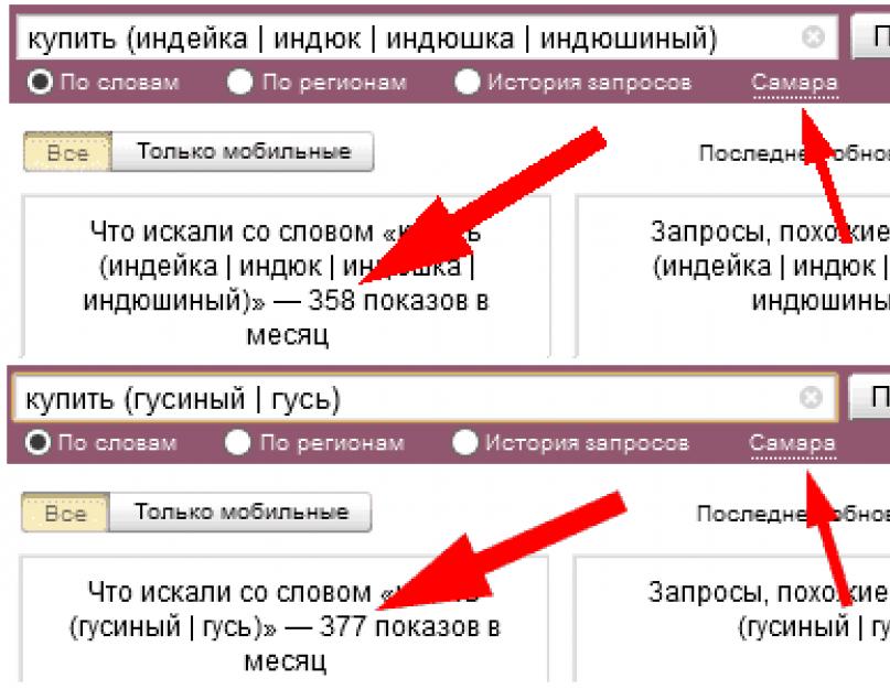 Yandex Wordstat: подробная инструкция по использованию сервиса и операторов. Статистика поисковых запросов в яндексе