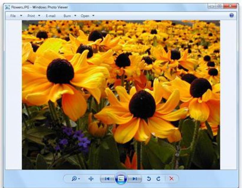 Программа для открытия изображений windows 7. Какие есть программы для просмотра картинок и фотографий