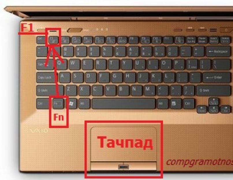 Программа для отключения touchpad на ноутбуке. Отключение тачпада клавишей Fn