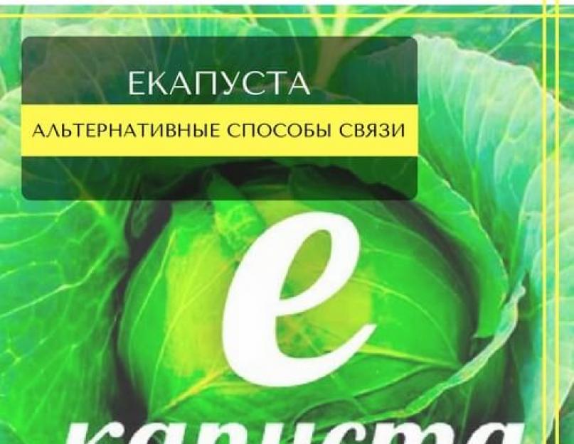 Екапуста позвонить. Капуста горячая линия. Е капуста горячая линия. Номер телефона ЕКАПУСТА горячая линия. Телефон горячей линии е капуста.