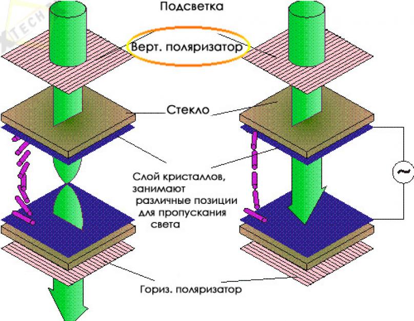 Тип жк матрицы tft ah ips pva. Какой тип матрицы монитора лучше? Тип матрицы монитора AH-IPS