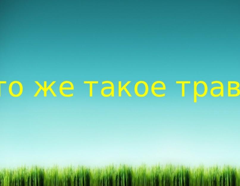 Почему трава зеленая презентация. Почему трава зеленая