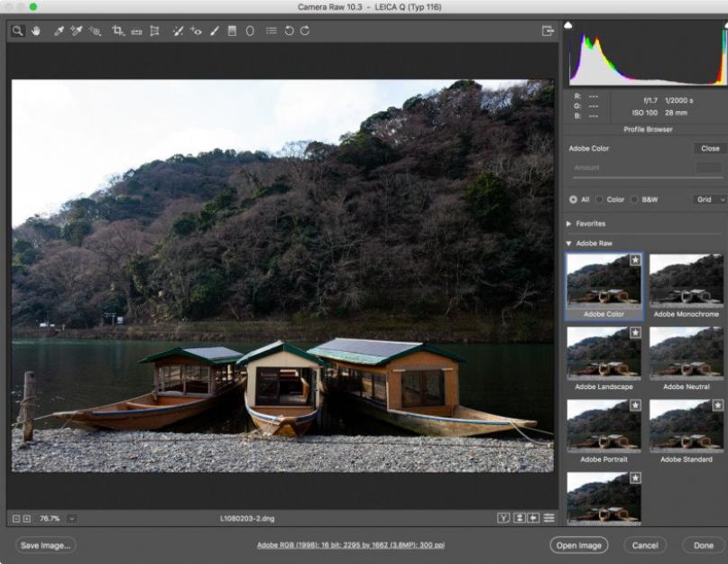 Как самому провести обновление для camera raw. Adobe Camera Raw — обновление неприменимо