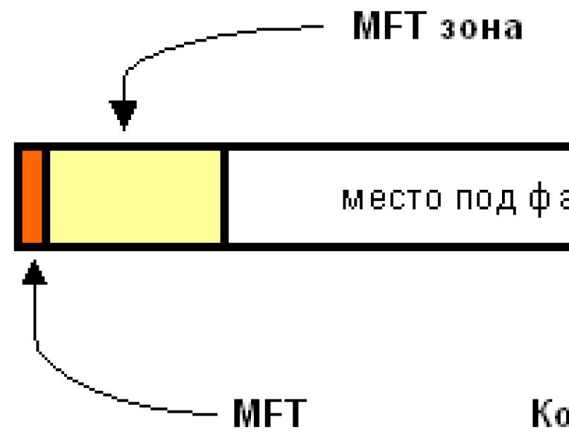 Какие виды объектов файловой системы. Файловые системы для Mac