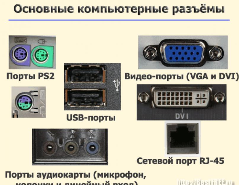 Назначение разъемов на задней стенке системного блока. Универсальные порты компьютера