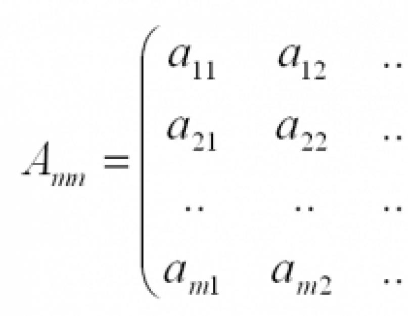Числовая матрица. Как научиться решать матрицы