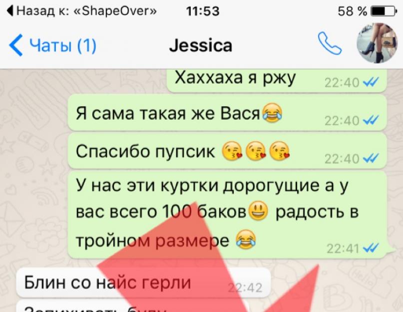 Что значит архивировать чат в WhatsApp. Можно ли восстановить удаленные сообщения и чаты в WhatsApp и как это сделать