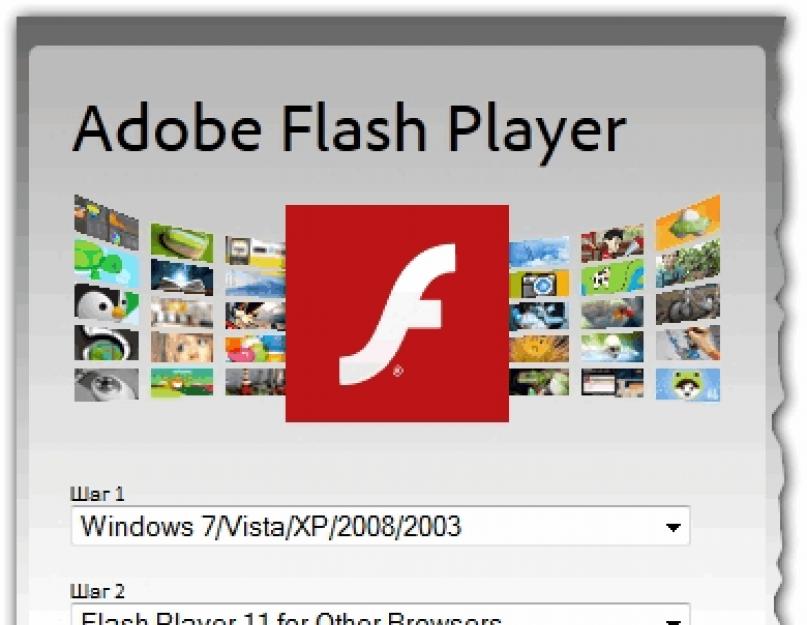 Какой флэш плеер установить на компьютер. Как установить флеш-плеер в браузеры и проверить работу