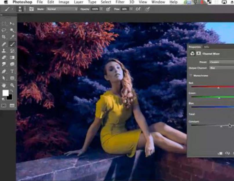 Фотошоп для начинающих обучение. Способы быстрого изучения Photoshop CS5