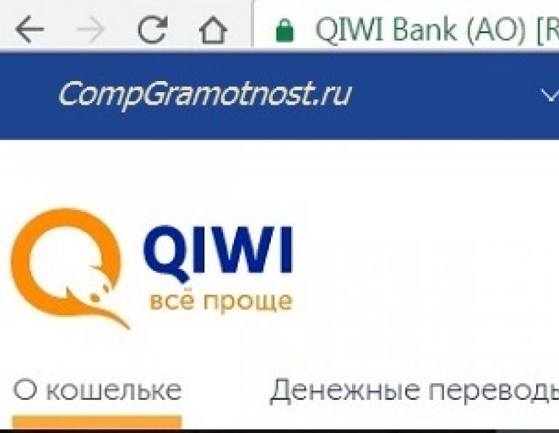 Экскурсия по миру QIWI. Что такое QIWI кошелек и для чего он нужен: основные моменты