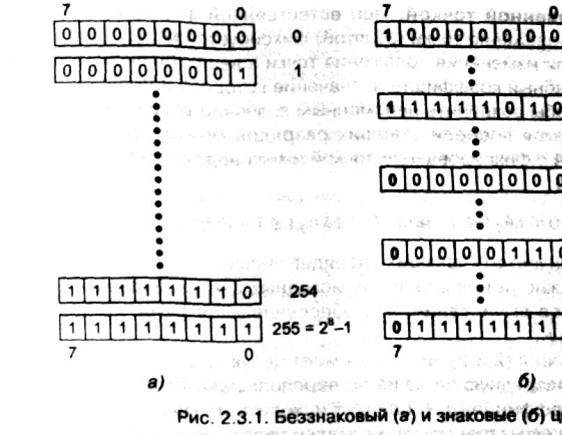 Представление чисел в компьютере. Представление целых чисел