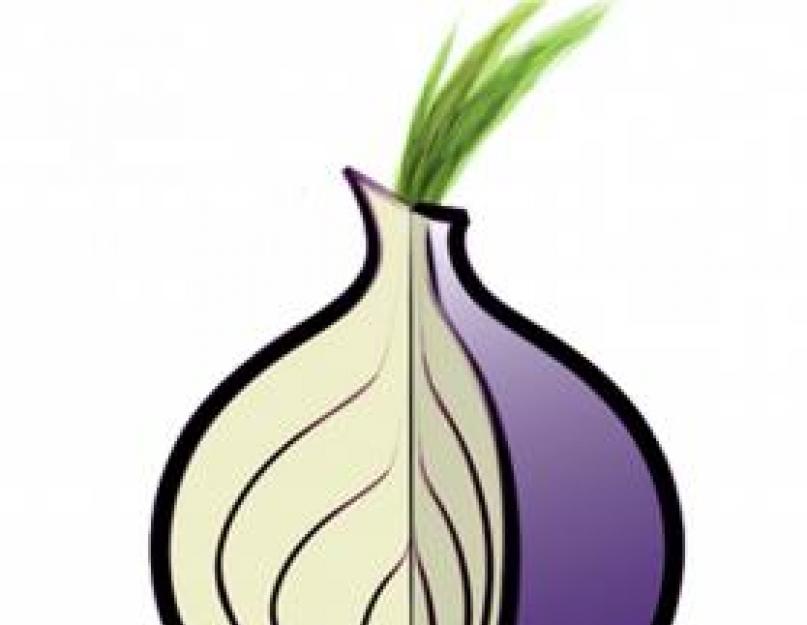 Скачать программу start tor browser. Устанавливаем и используем TOR browser