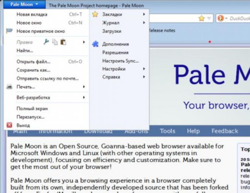 Полноэкранные браузеры. Самый легкий браузер ПК. Полноэкранный браузер фото. Pale Moon browser.
