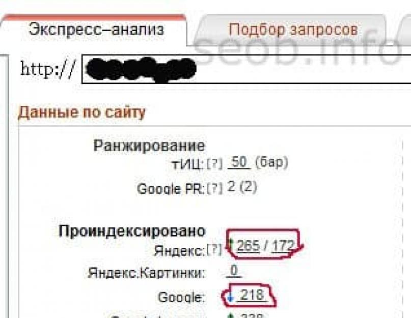 Как проверить, сколько страниц в индексе поисковых систем. Поисковый индекс