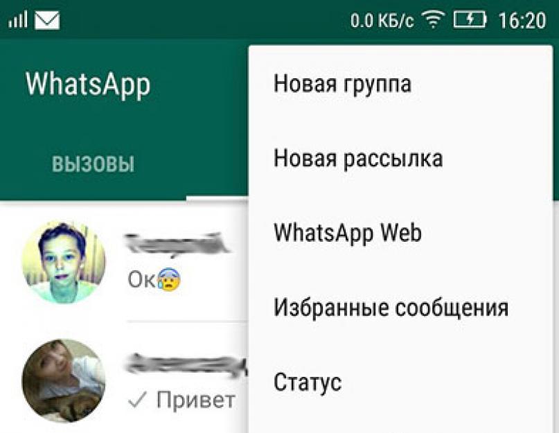 Как удалить номер из whatsapp. Скачать Как удалить контакт из whatsapp