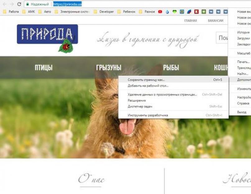 Сохранение web страниц в виде текстового файла. Утилиты для создания скриншотов