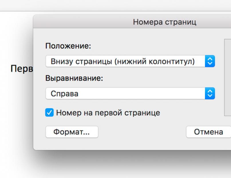 Как сделать чтобы номер отображался. Номера страниц в панели интернет. Как сделать номера. Как пронумеровать страницы в гугл документах со 2 страницы. Отобразить номер вручную.