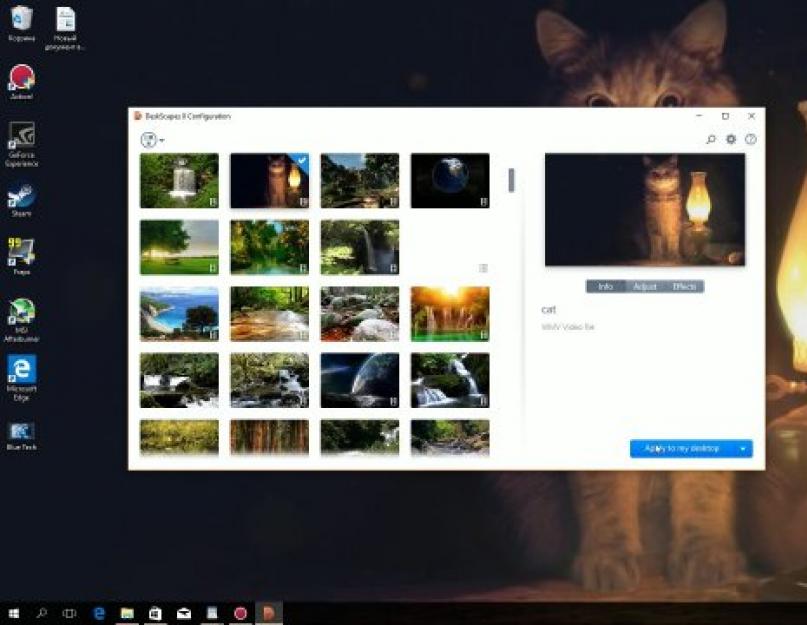 Анимационные обои для рабочего стола windows 10. Обои для рабочего стола