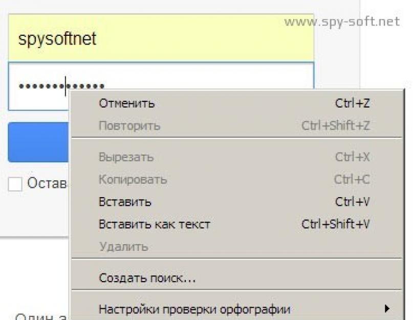 Как узнать пароль закрытый звездочками. Как узнать скрытый звездочками пароль в браузере