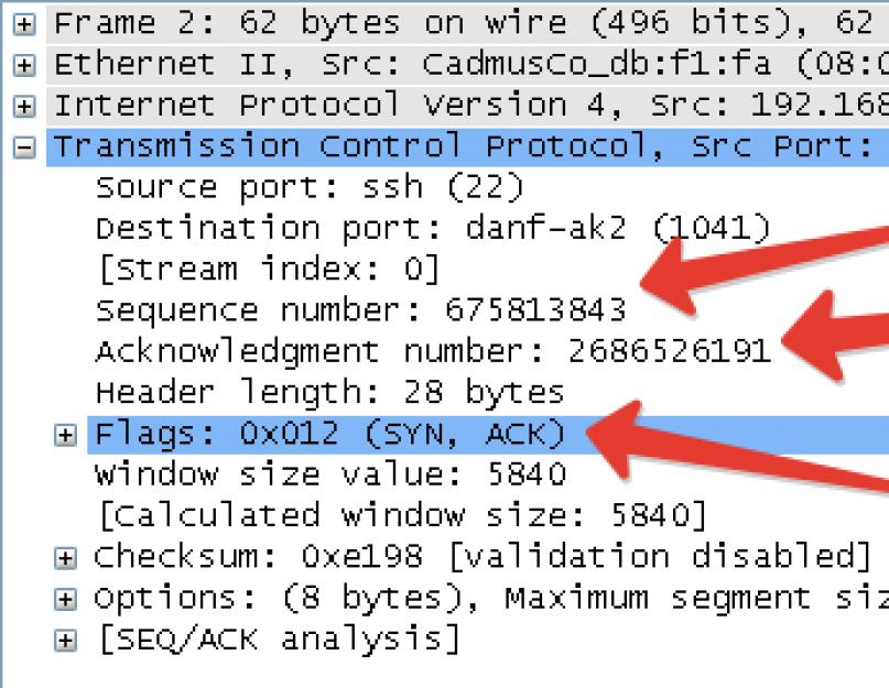 Tcp сообщения. Как работает TCP? Схема передачи данных по протоколу TCP-IP