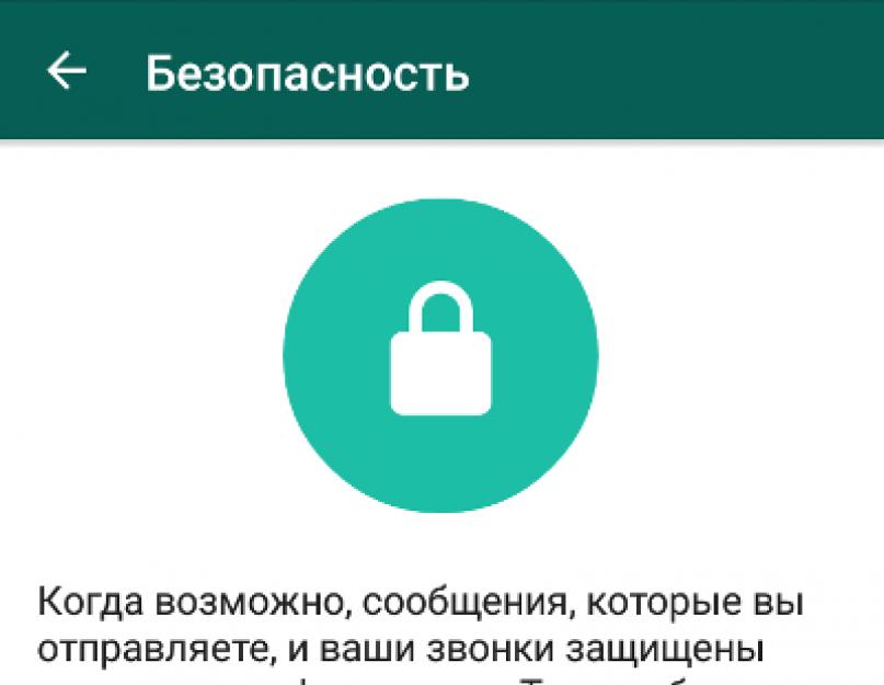 Что значит сообщения в разговоре зашифрованы. Viber не сможет выполнить требование ФСБ о дешифровке переписки