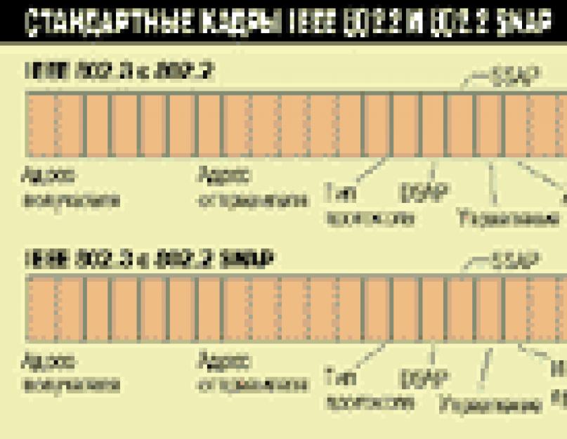 Из чего состоит кадр ethernet. Основные варианты алгоритмов случайного доступа к среде