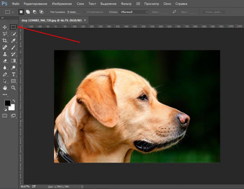 Photoshop изменить размер изображения