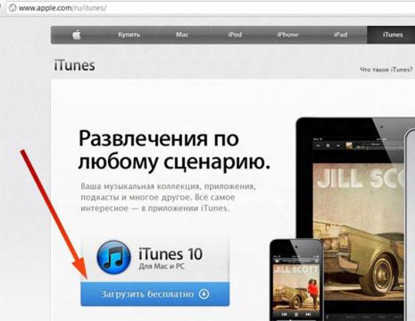 Что такое айтюнс для айфона. Выполнение других задач через iTunes