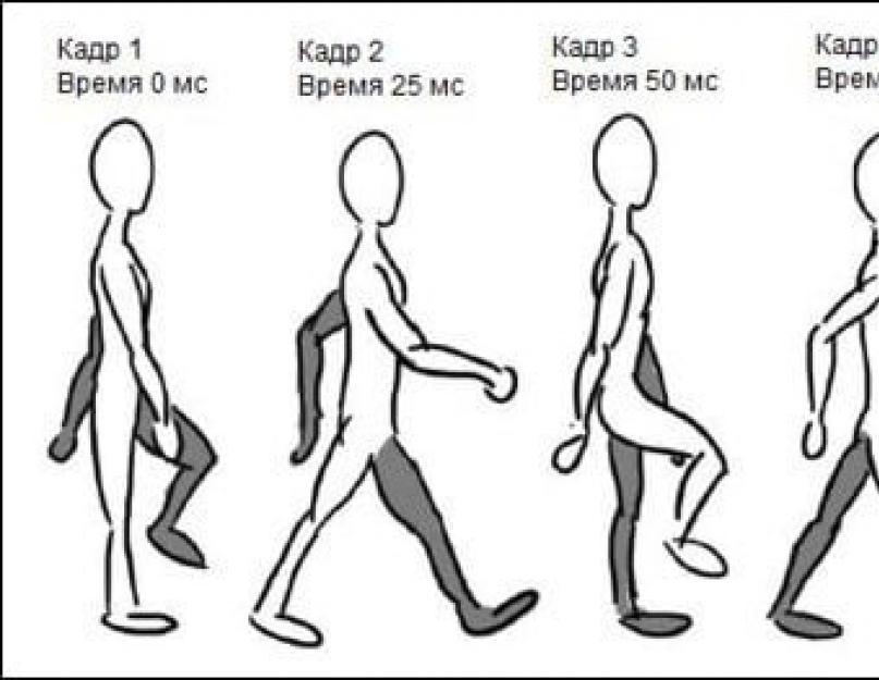 Принцип создания анимации. Ходьба человека покадрово. Покадровая анимация ходьбы. Анимация ходьбы человека. Анимация походки персонажа.