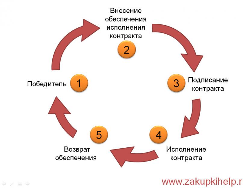 Единая информационная сеть в сфере закупок. Единая информационная система госзакупок (ЕИС) — что это такое? Передача проекта от МЭР к Казначейству