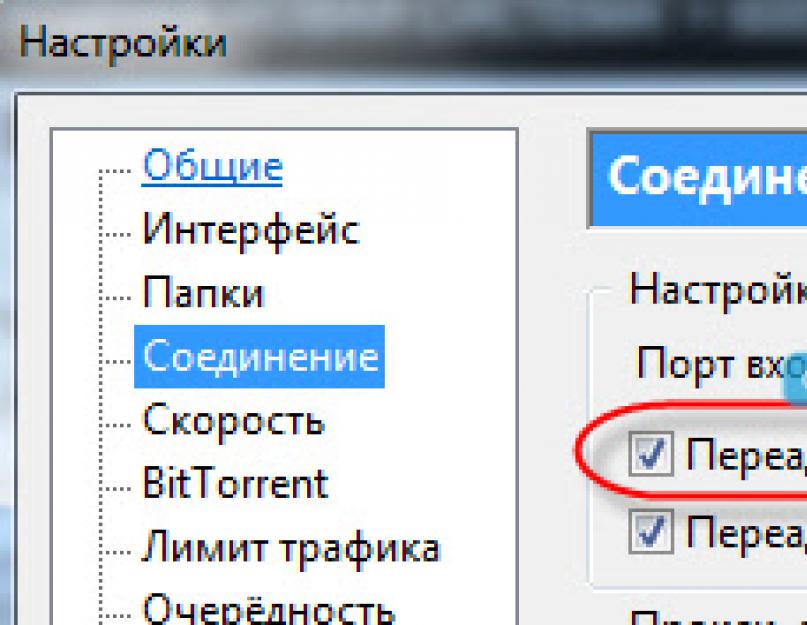 Что такое перенаправление портов. Решение возможных проблем при пробросе портов. Создание правила. Основные параметры.